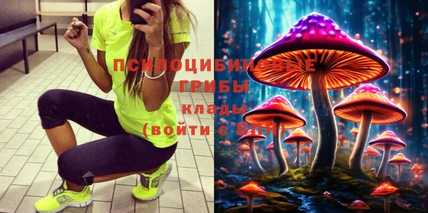 мескалин Арсеньев