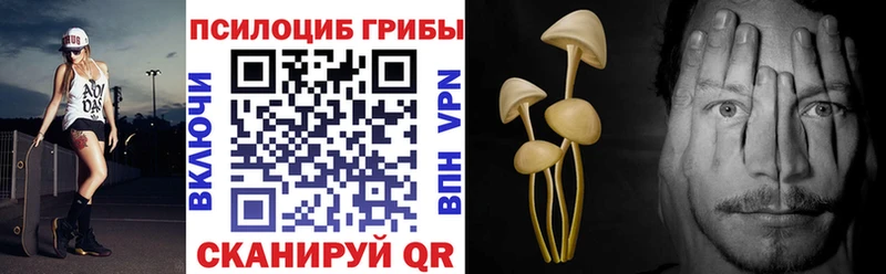 KRAKEN ссылки  Бавлы  Псилоцибиновые грибы GOLDEN TEACHER 